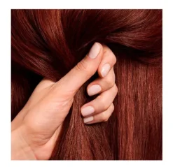 Color Motion*Wella Professionals