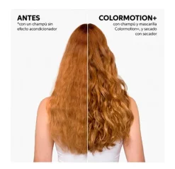 Color Motion*Wella Professionals