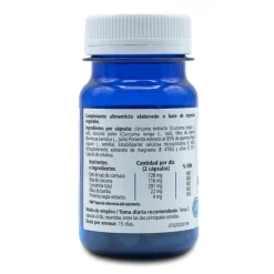 Best H4U Concentrado de Cúrcuma