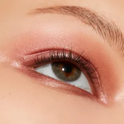 Outlet Connect In Color Eeyeshadow Palette Sombras De Ojos