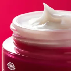 Outlet Crema en Polvo Antiedad