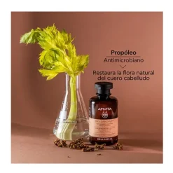 Online APIVITA Dry Dandruff Champú Anticaspa Seca