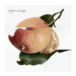 Outlet HERMÈS Eau Des Merveilles