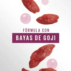 El Borrador*MAYBELLINE NEW YORK Outlet