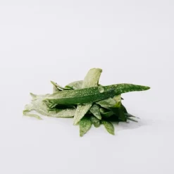 Hot Esencia Eau De Parfum Perfumes