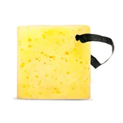 Esponja Exfoliante*BIOVENE New