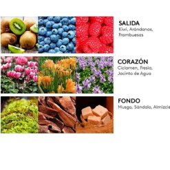 Estuche Fruity*ADIDAS Online