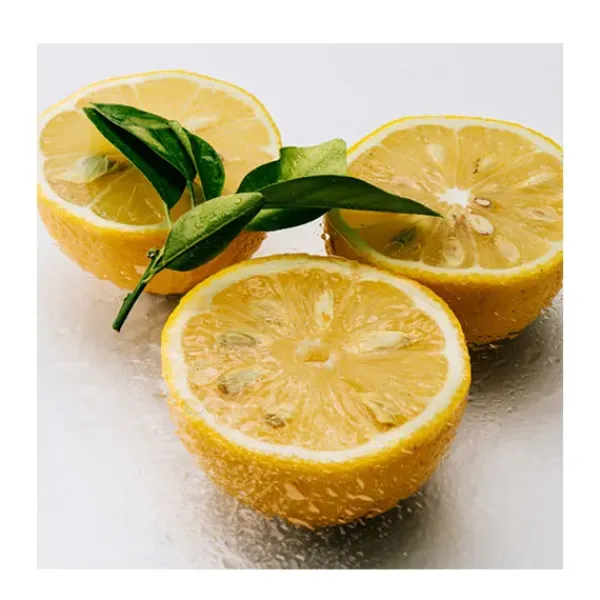 Estuche Agua Estuches Mujer