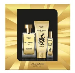 Estuche Gold Asset Men*ILVANDE Online