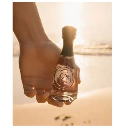 Clearance Estuche Ibiza 24/7 Vip Estuches Hombre