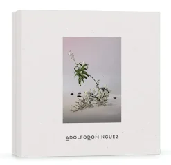 Sale Estuche Jazmin Tonka Estuches Mujer