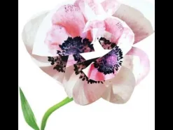 Sale Estuche Narciso For Her Estuches Mujer