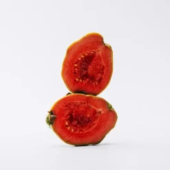 New Estuche Solo Estuches Hombre