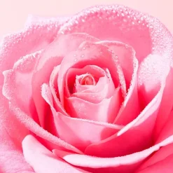 NUXE Exfoliante Luminosidad