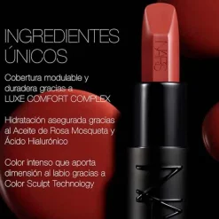 Explicit Lipstick Pintalabios