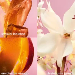 Best RABANNE Fame Deo Spay