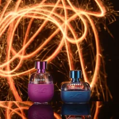 HOLLISTER Festival Nite For Him