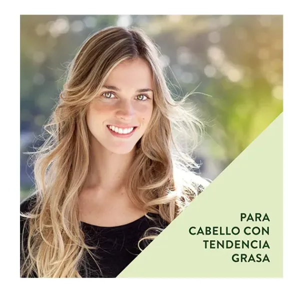 Fresco Y Puro*TIMOTEI Online