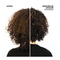 Clearance REDKEN Frizz Dismiss