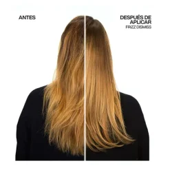 Sale REDKEN Frizz Dismiss Shampoo