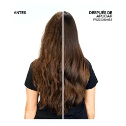 Sale REDKEN Frizz Dismiss Shampoo