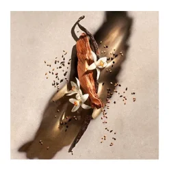 Gel Zadig*ZADIG & VOLTAIRE Outlet