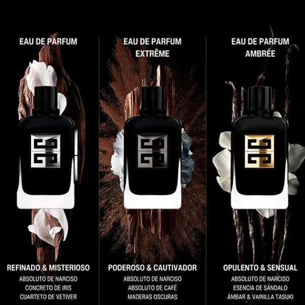 Sale Gentleman Society Ambree Perfumes