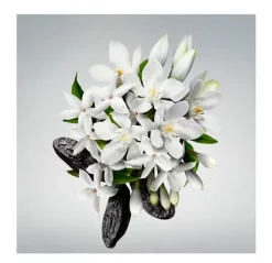 Good Girl Body Cream*CAROLINA HERRERA