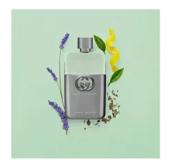 Guilty Man Eau De Toilette Perfumes