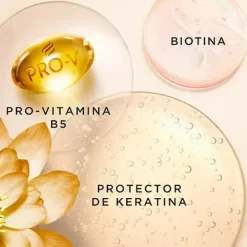 24H Frizz Control*PANTENE Best