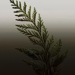 Hero Parfum*BURBERRY Clearance