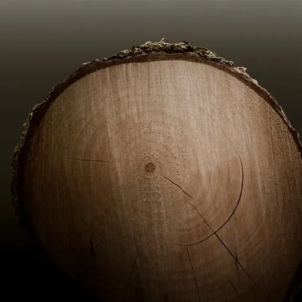 Hero Parfum*BURBERRY Clearance