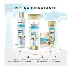 Online PANTENE Hidratación & Brillo