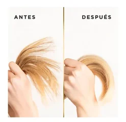 Hidratación Intensiva*PANTENE