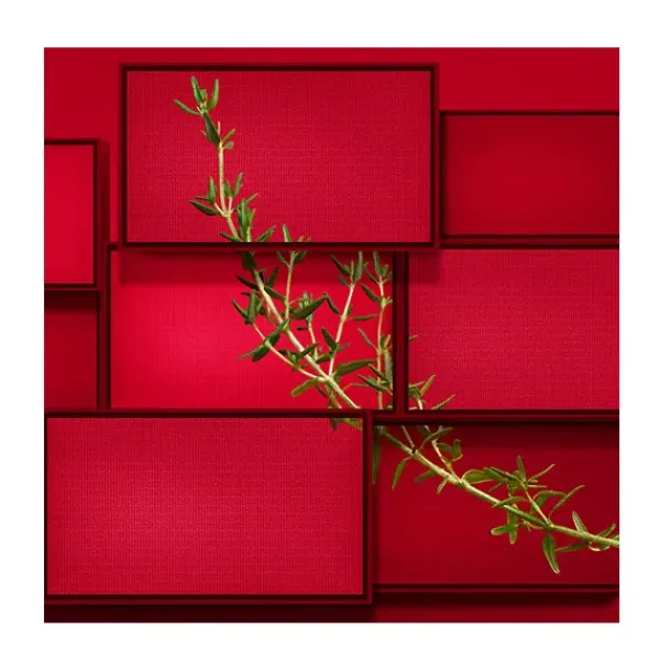 New Hugo Intense Perfumes