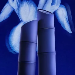 Discount Indigo Perfumes