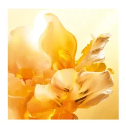 Outlet DIOR J'adore Eau De Parfum Roller Pearl | 20ML