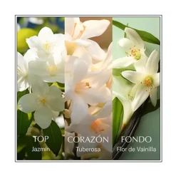 Sale CHANSON D'EAU Jasmine