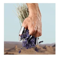 K By D&G Eau De Toilette*DOLCE & GABBANA Sale