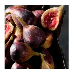 Discount K By D&G Intense Perfumes