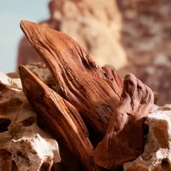 Online K By D&G Parfum Perfumes