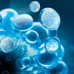 Lait Corporel Active Recovery*BIOTHERM