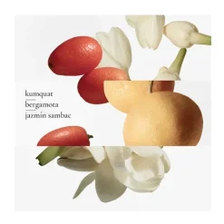 Le Jardin De Monsieur Li*HERMÈS Online