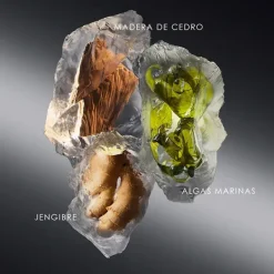 Best Le Sel Perfumes