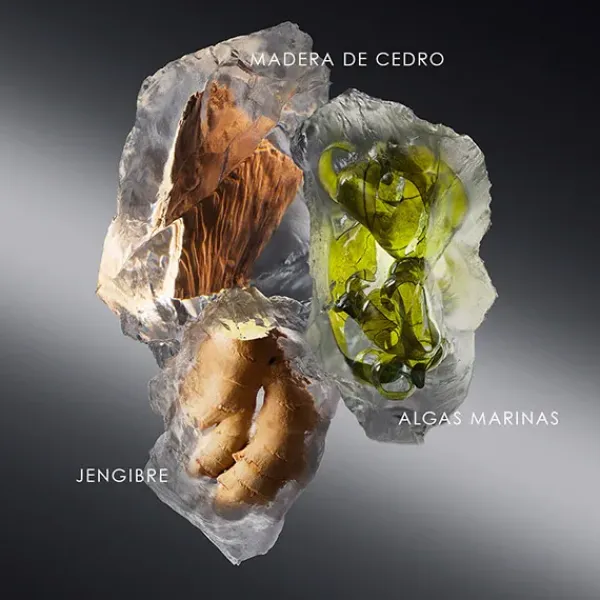 Best Le Sel Perfumes