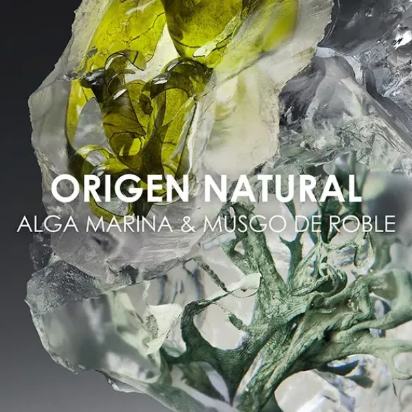 Best Le Sel Perfumes