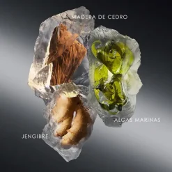 Sale ISSEY MIYAKE Le Sel Recarga