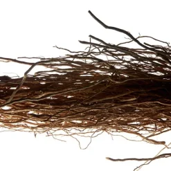 Hot L'homme Perfumes