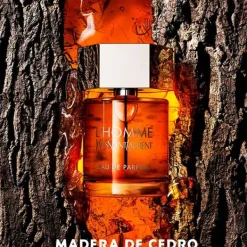 Outlet L'homme Perfumes