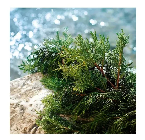 Clearance Light Blue Pour Homme Summer Vibes Perfumes